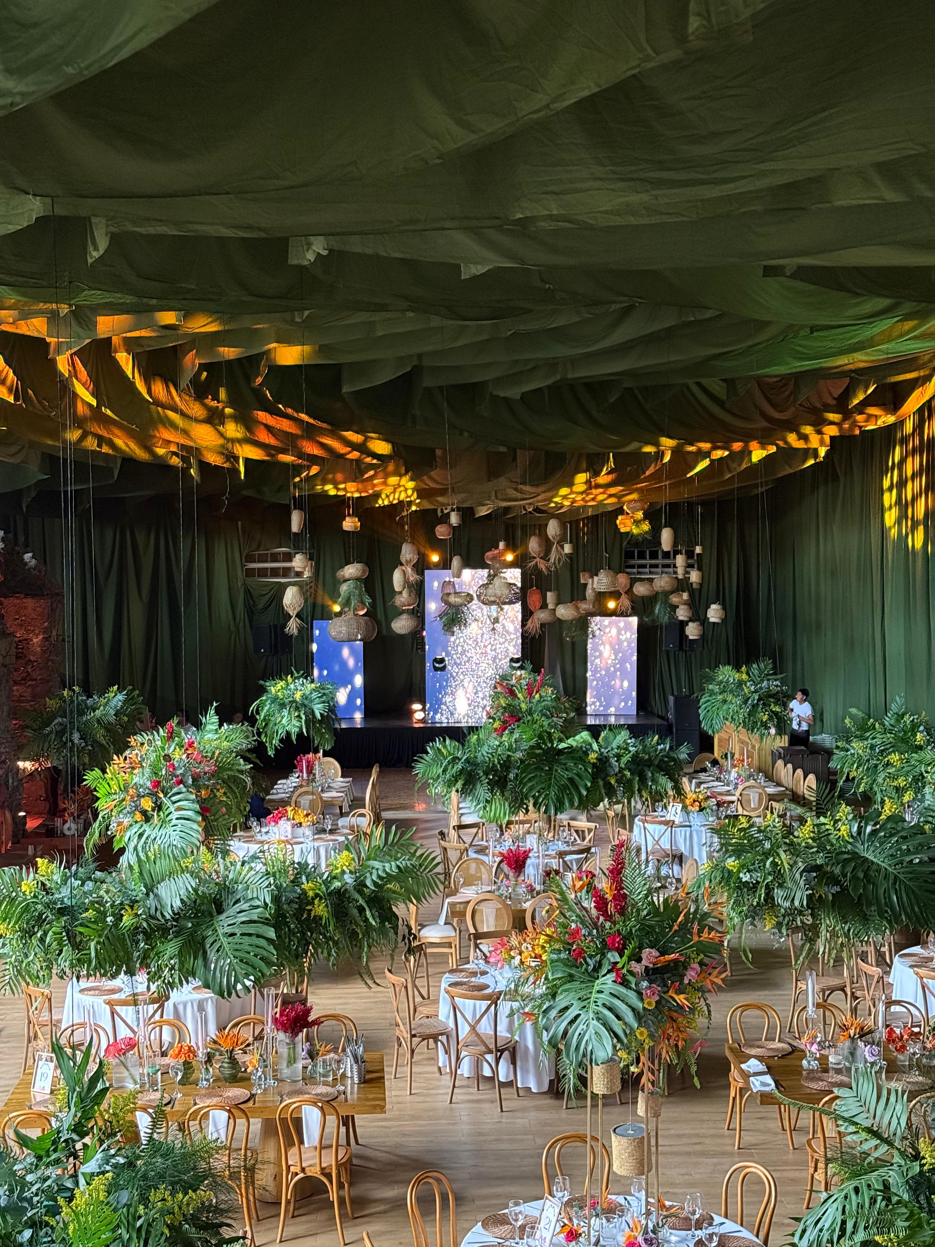 Paquetes de Discoteca